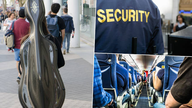 Cellist removed from an American Airlines flight