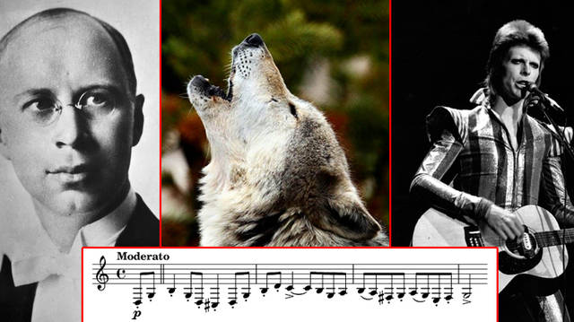 Prokofiev, a wolf and David Bowie