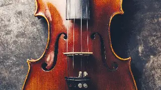A century old violin was among the valuable instruments stolen