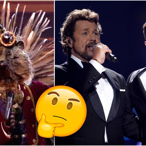 Who is Hedgehog on The Masked Singer?