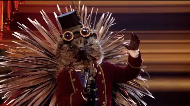 'Hedgehog' is a contestant on The Masked Singer