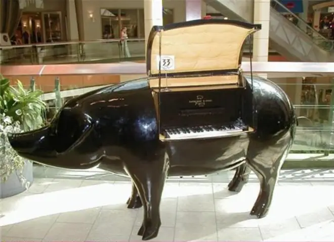 Pig piano