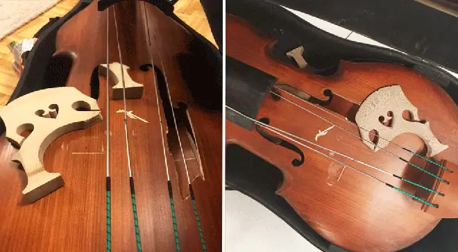 Double bass severely damaged following Turkish Airlines flight