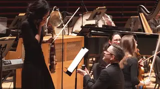 Trumpeter proposes to violinist girlfriend on Valentine’s Day