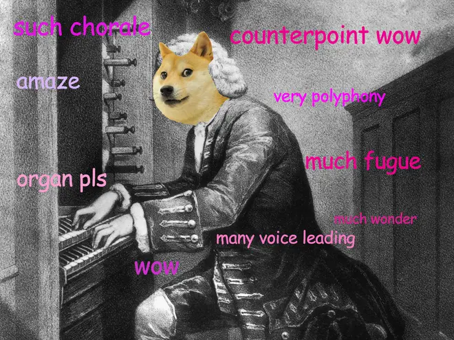 Doge Bach