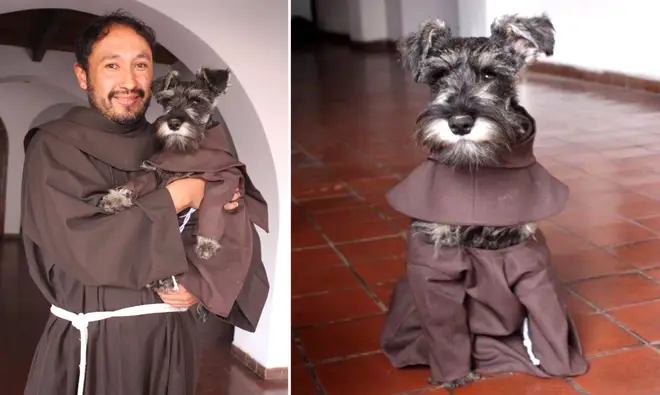 Monastery adopts a dog, and he's the cutest friar