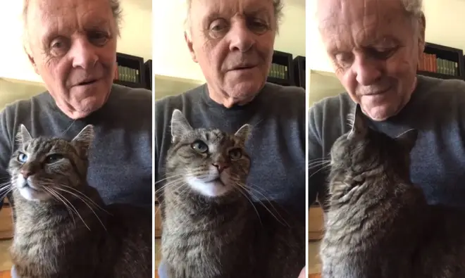 Anthony Hopkins serenades his cat while self-isolating during coronavirus pandemic