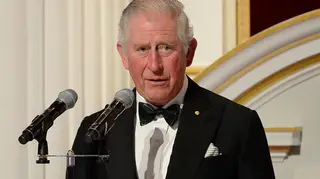 Prince Charles, 71, has tested positive for coronavirus