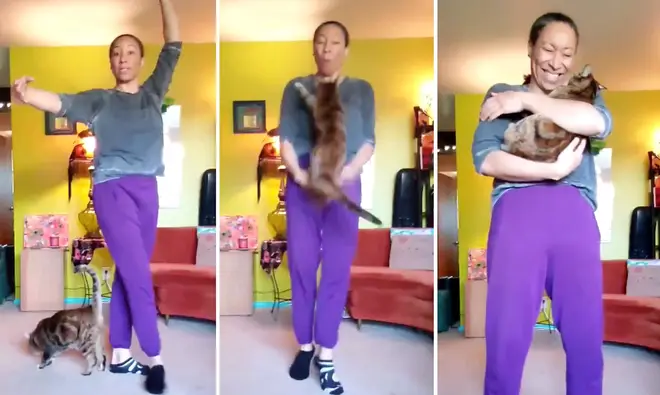 Cat interrupts at-home ballet class and steals the show