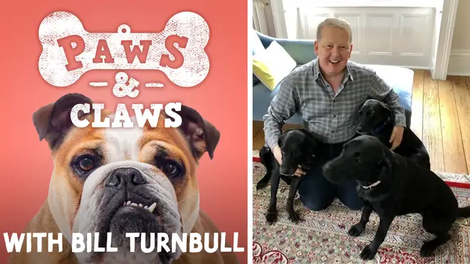 Introducing Bill Turnbull’s new Classic FM podcast, Claws & Paws