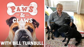 Introducing Bill Turnbull’s new Classic FM podcast, Claws & Paws