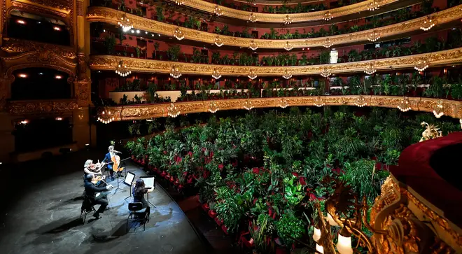 The string quartet will serenaded the audience of plants at Barcelona’s Liceu on Monday
