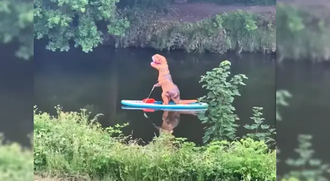 Watch as these T-Rexes paddle down a river in Bristol