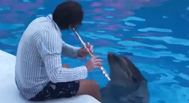Russian flautist Maxim Rubtsov plays the flute for dolphins
