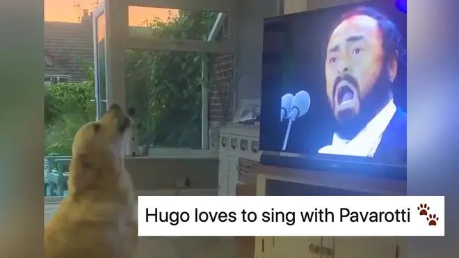 Dog duets with Pavarotti