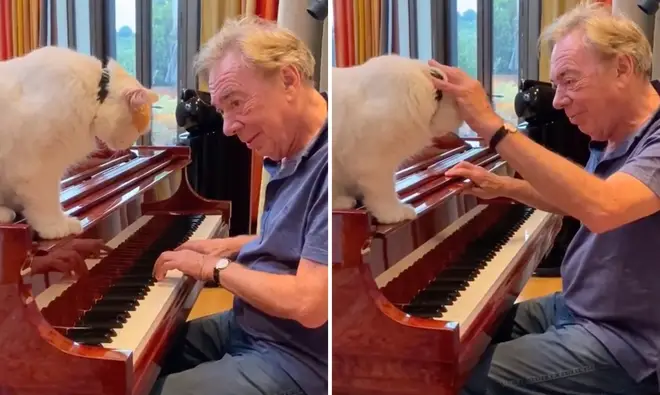 Andrew Lloyd Webber plays the piano for his cat in heartwarming video