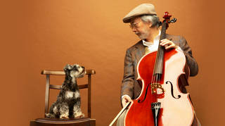 11 perfect pieces of classical music for your dog