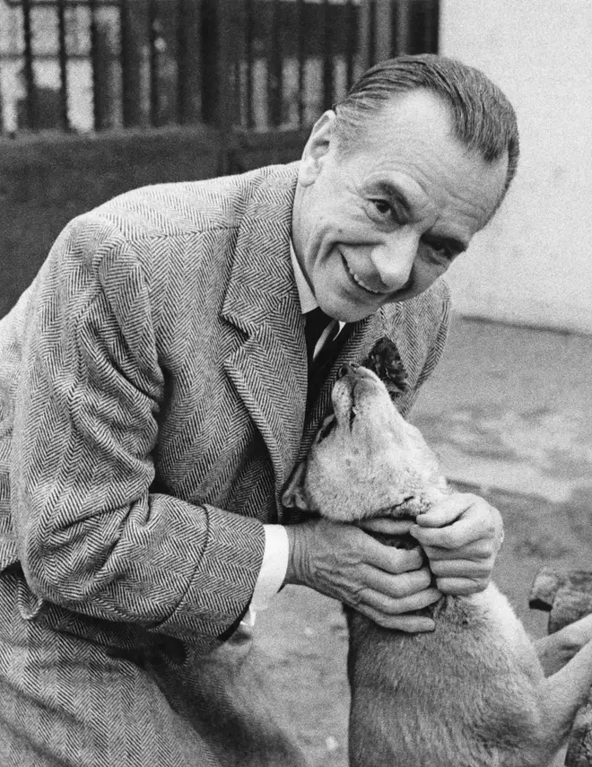 In 1964, English conductor Sir Malcolm Sargent gifted a New Guinea Singing Dog to a London Zoo