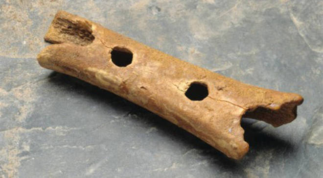 The Neanderthal Flute is carved from the bone of a Cave Bear