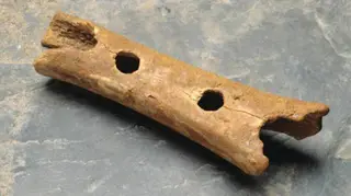 The Neanderthal Flute is carved from the bone of a Cave Bear