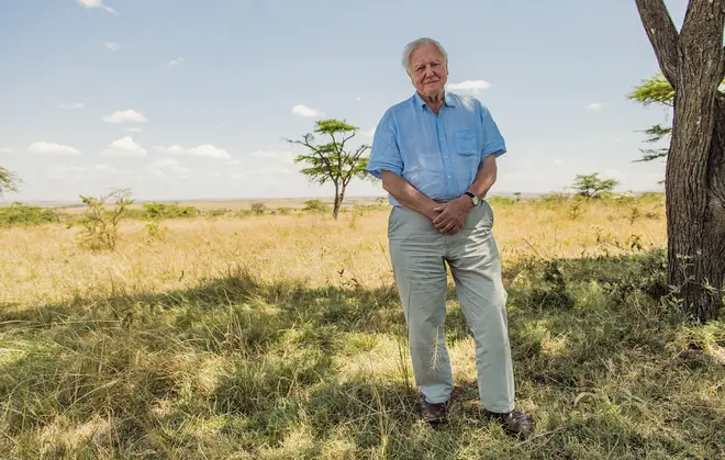 Sir David Attenborough presents 'A Life On Our Planet'