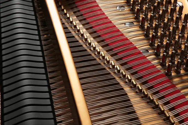 The strings of a Steinway grand piano