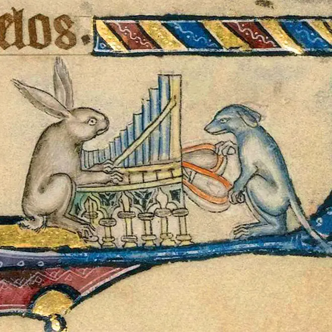 Dog and rabbit playing organ