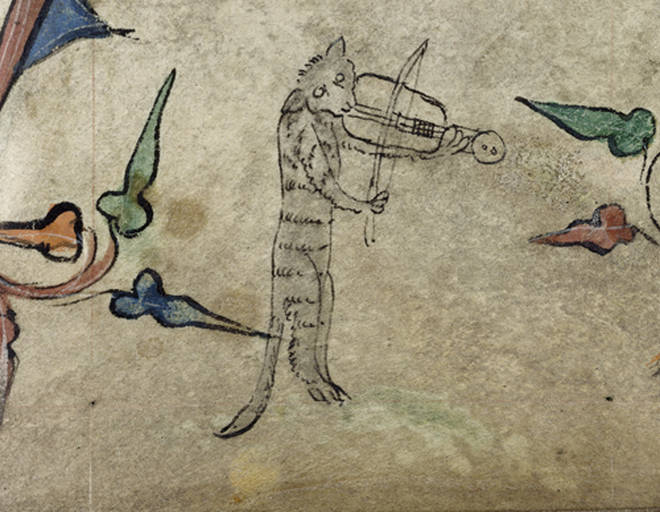 Cat with fiddle