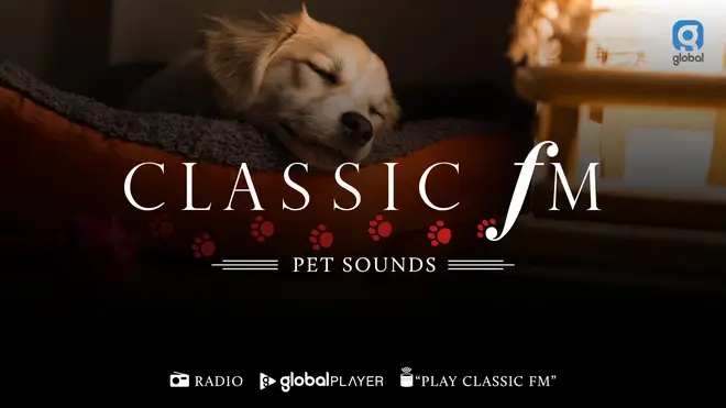 Classic FM’s Pet Sounds, 5 and 7 November on Classic FM.