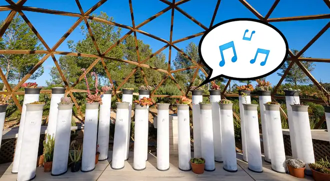 This is the world's first piano made entirely from plants