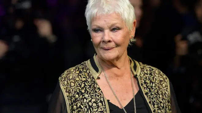 Dame Judi Dench on the red carpet, announcing her role in Cats