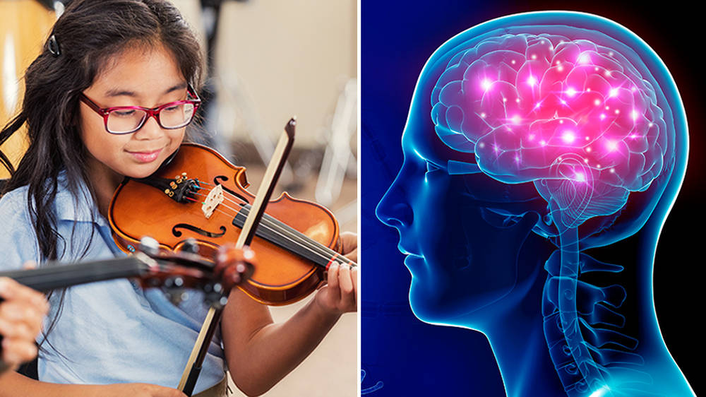 Musicians who train from an early age have more ‘connected’ brains, a study has found