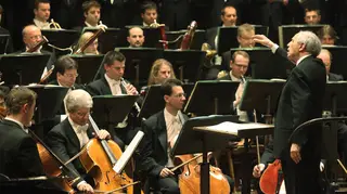 In the Vienna Philharmonic Orchestra, just 12 per cent of musicians are women