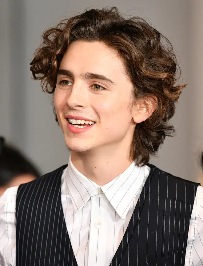 Timothée Chalamet took piano lessons for Call Me by Your Name