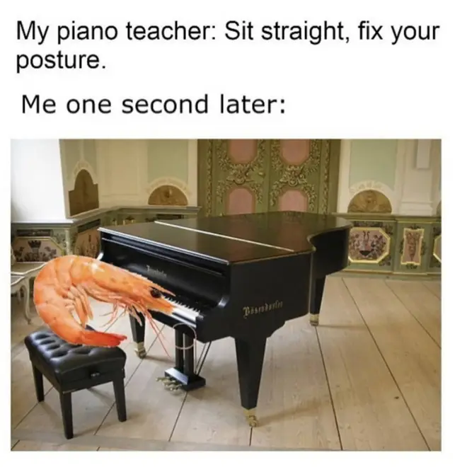 Prawn piano