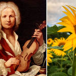 15 glorious pieces of classical music for summertime