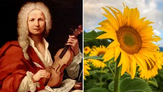 15 glorious pieces of classical music for summertime