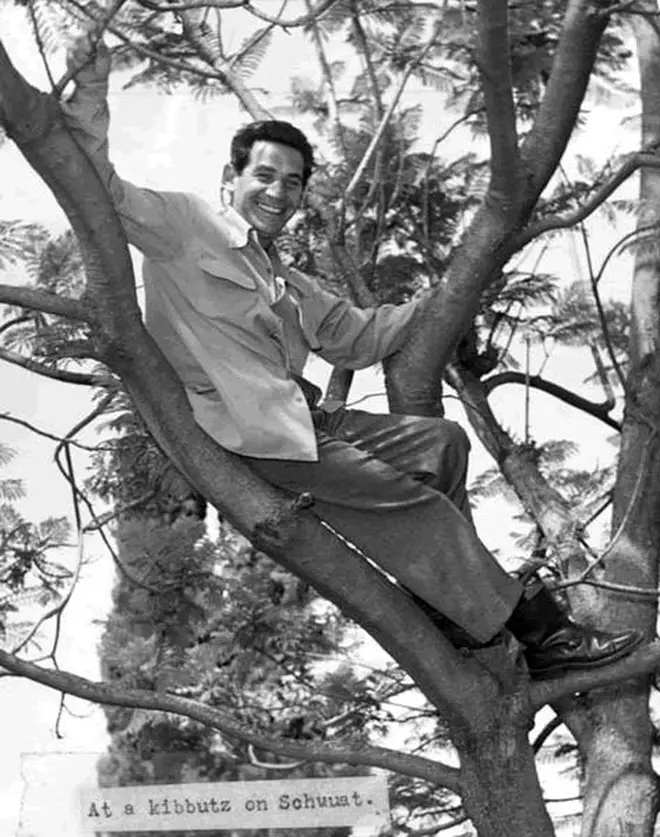 Leonard Bernstein, up a tree in Israel.