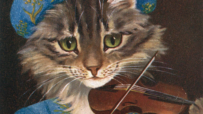 The cat and the fiddle
