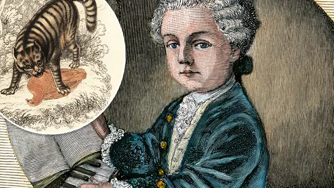 No one believed Mozart was only nine years old until he started playing with a cat