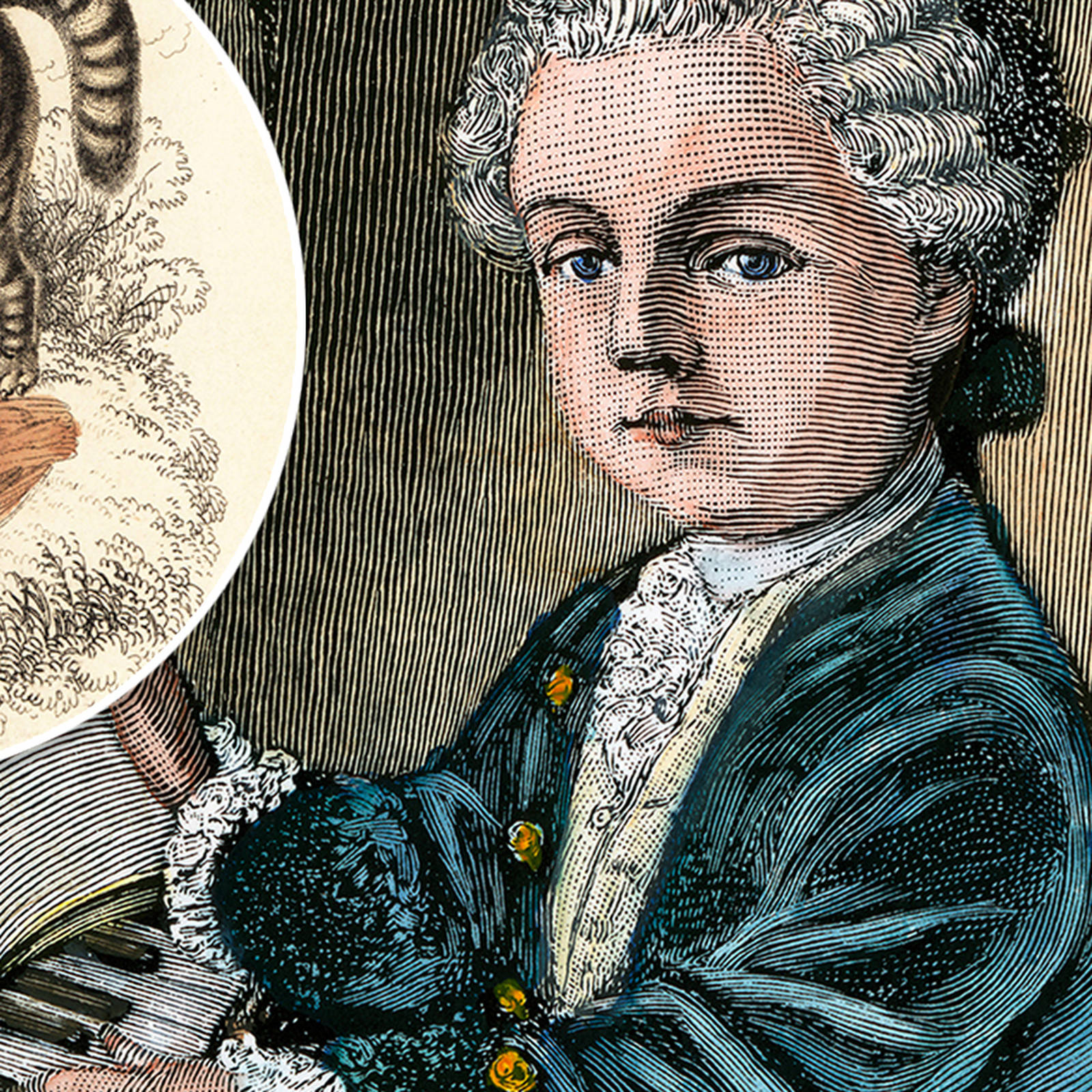 No one believed Mozart was only nine years old. Until he started