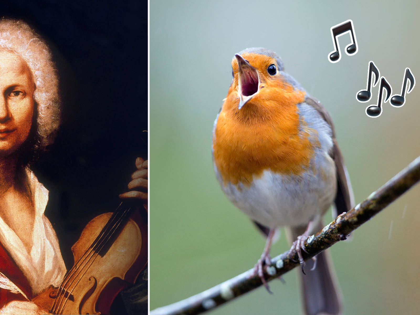 13 pieces of classical music inspired by birdsong - Classic FM