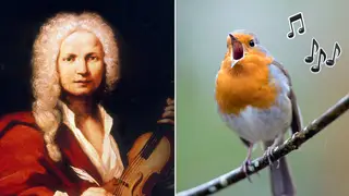 13 pieces of classical music inspired by birdsong