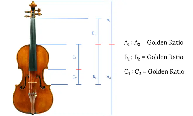 Stradivari used the Fibonacci Sequence and the Golden Ratio to make his violins