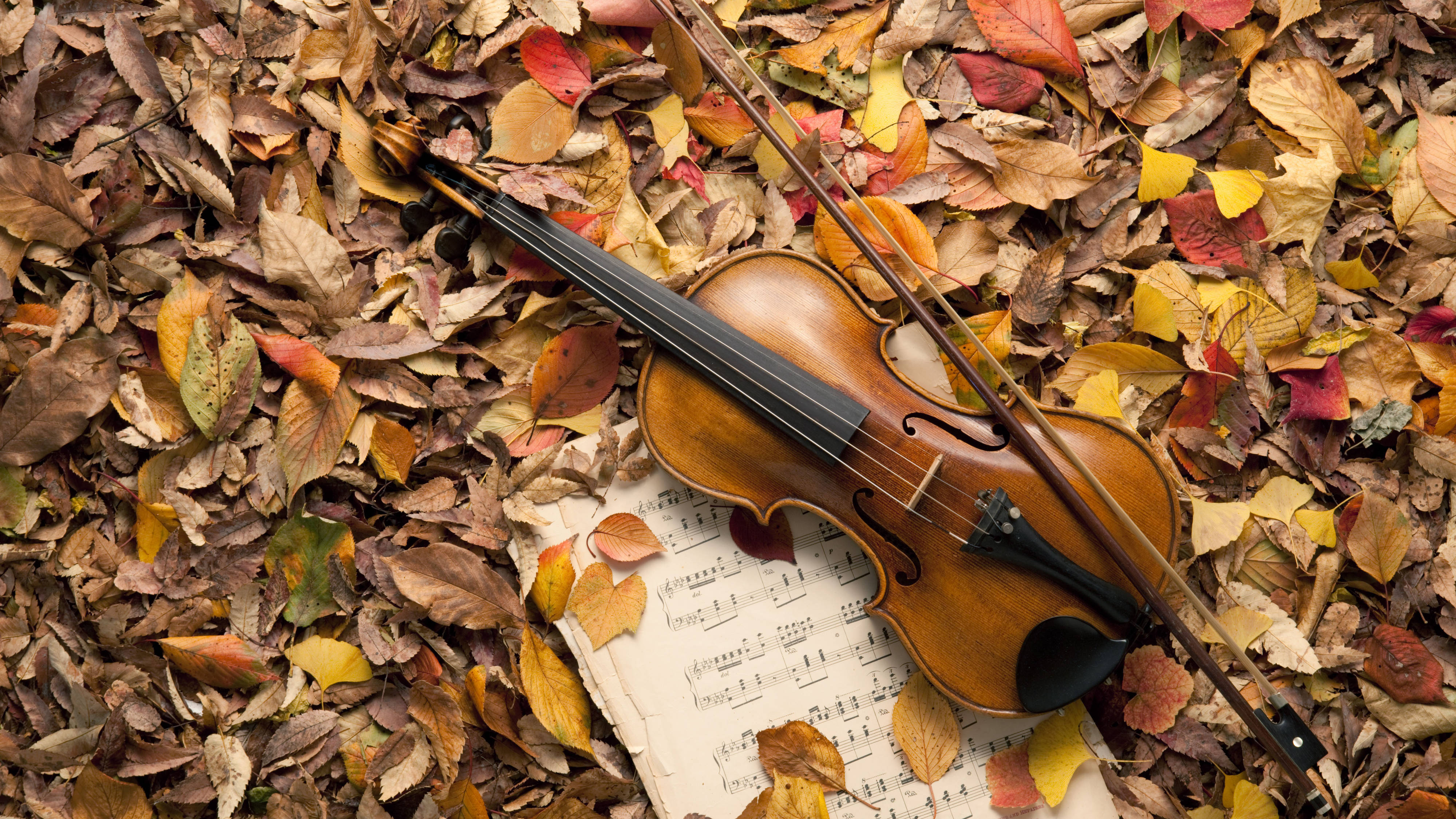 11 evocative pieces of classical music inspired by autumn - Classic FM