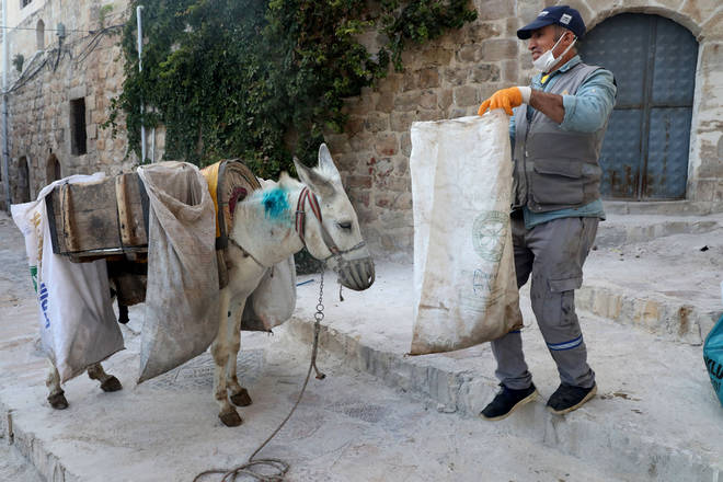 A municipal employee guiding a donkey collects garbage bags