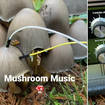 Making music with mushrooms