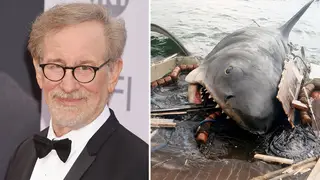 Steven Spielberg hits out at pre-recording the Best Score Oscar