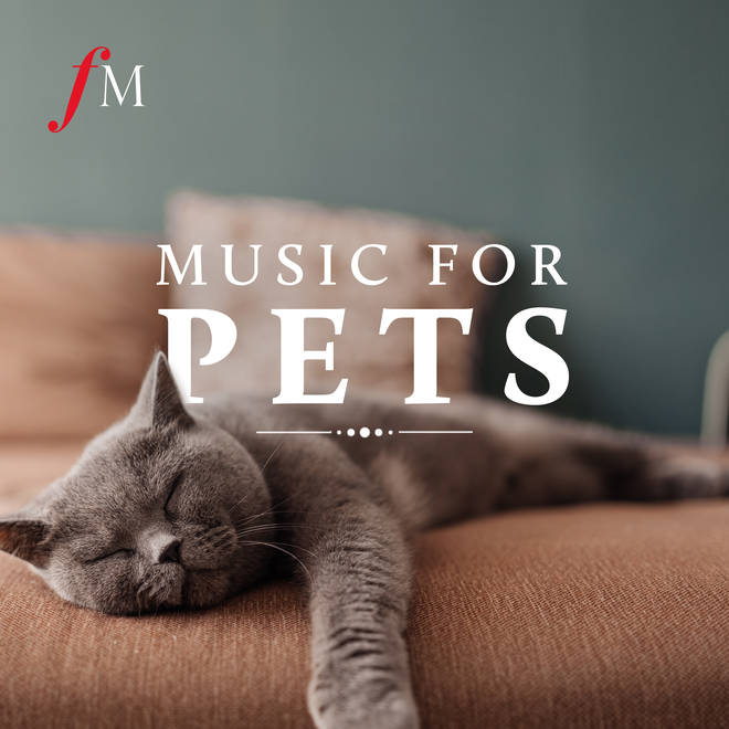Music for Pets playlist