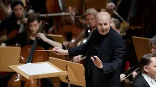Stefan Soltesz was conducting at the Bavarian State Opera when he fell from his podium during the first act